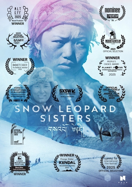 Snow Leopard Sisters